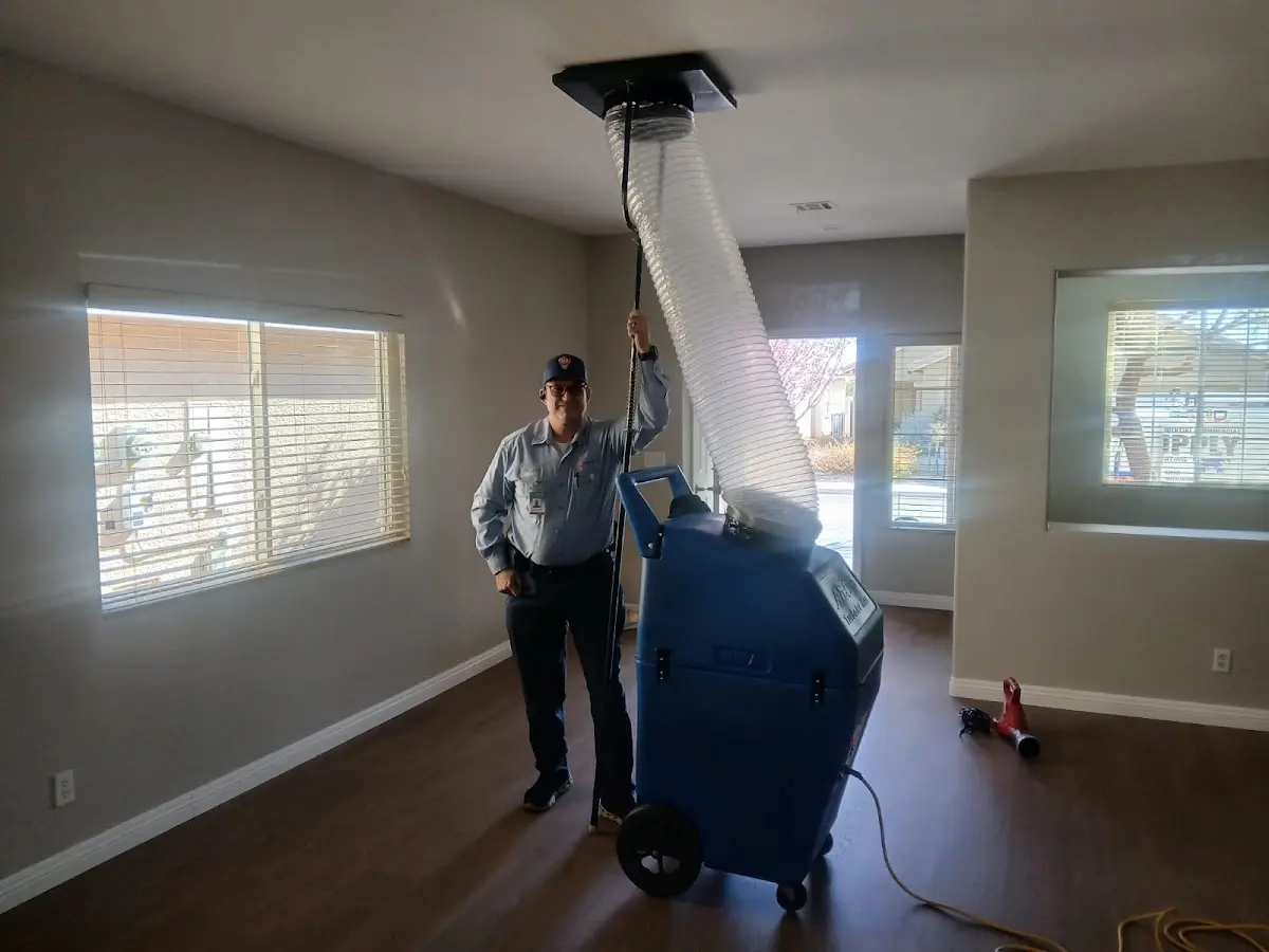 Professional Dryer Vent Cleaning work inside a DeWitt home